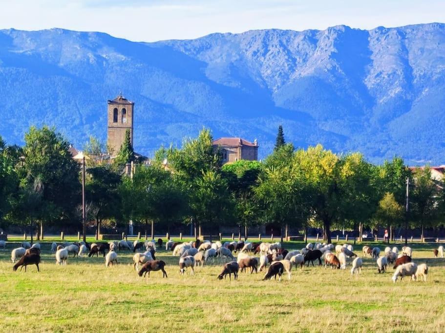 El Escondite De Molina. Valle Del Tietar. La Iglesuela Extérieur photo